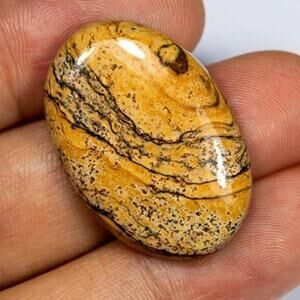Gorgeous 33 Carat Oval Picture Jasper!